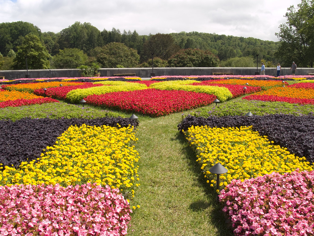 Floral Carpet 7 This is a view of the floral carpet at the… Flickr