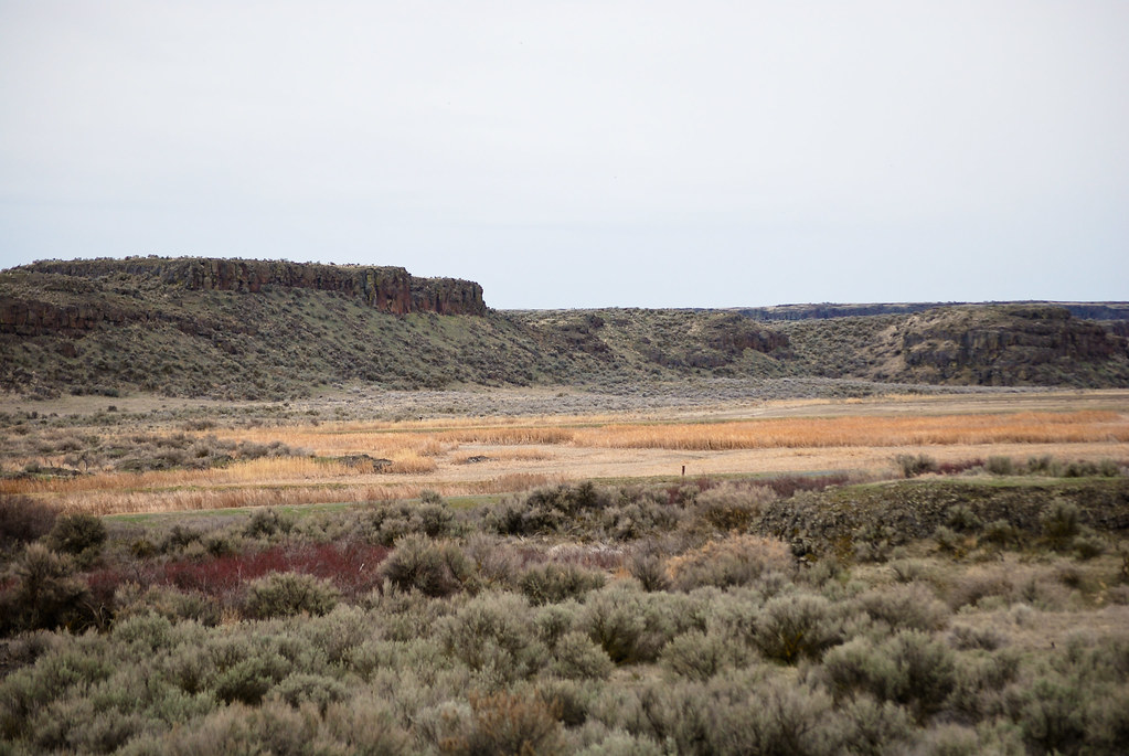 Crab Creek plain, Columbia NWR At the Frog Lake Trailhead Flickr