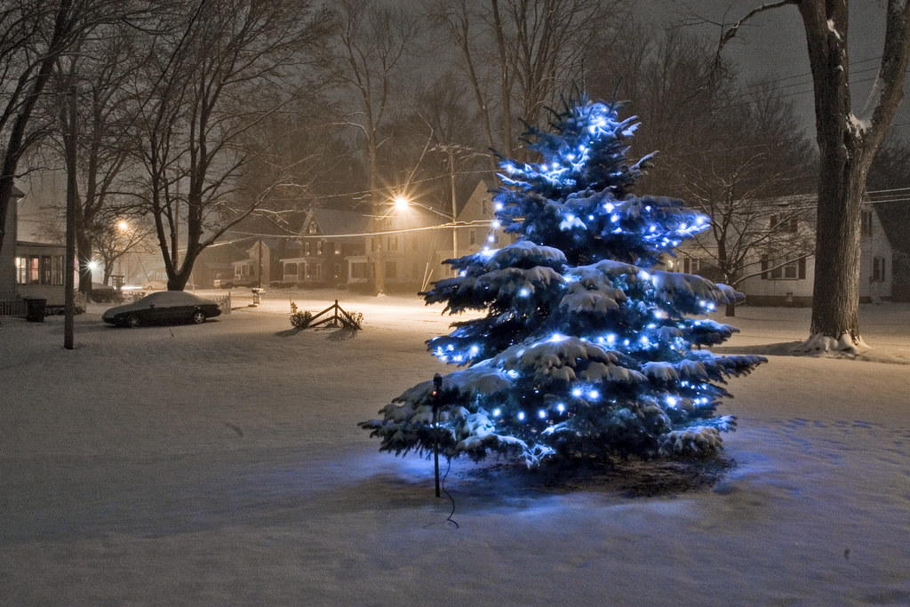 winter blues shortsville, new york Matt Johnson Flickr