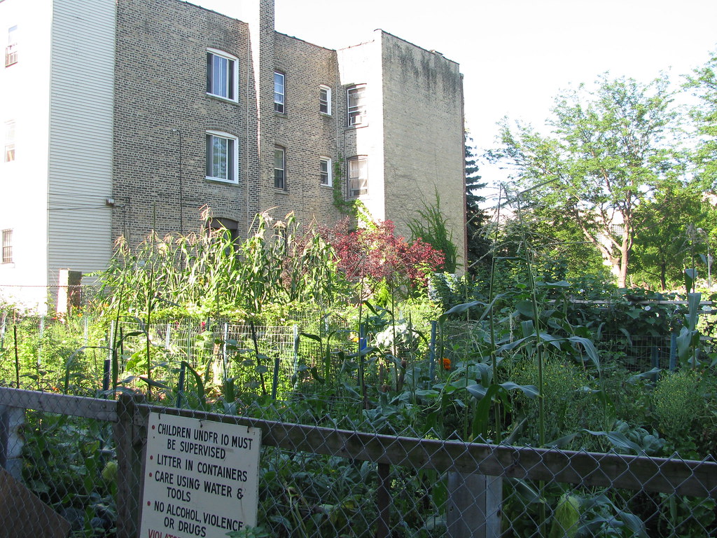 Howard Area Community Garden NeighborSpace Chicago's