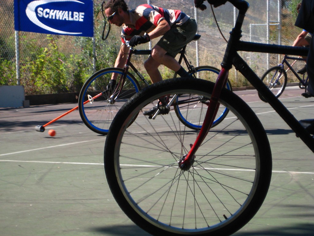 IMG_1976 Lisa Moffatt Flickr