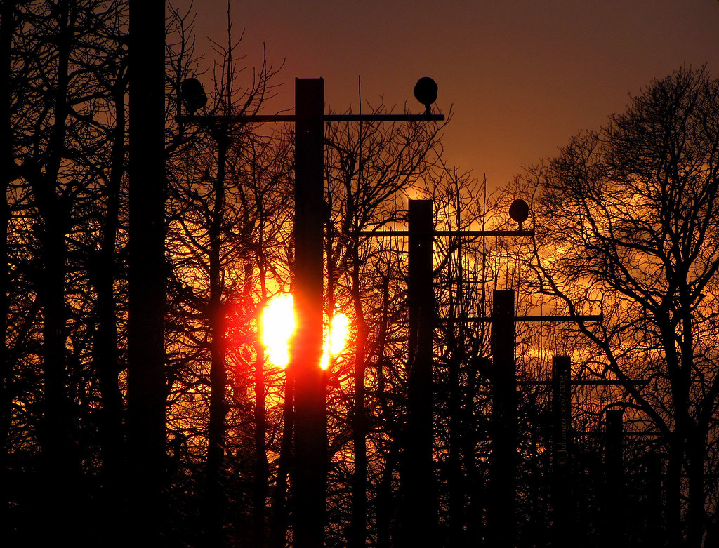 Ton souvenir illumine mes jours et mes nuits et rien ne pe… Flickr