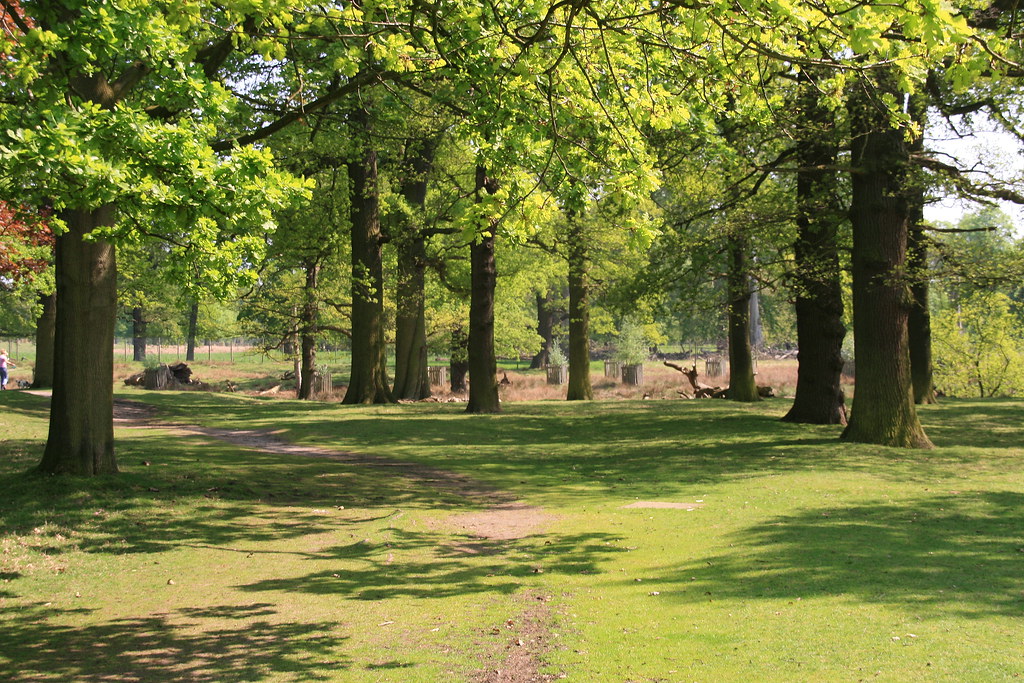 Dunham Park Stephen Entwistle Flickr