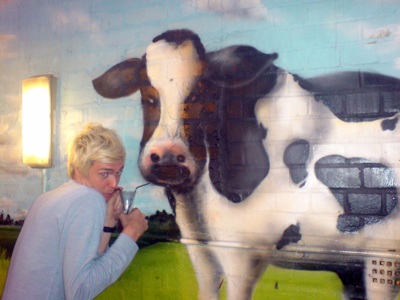 The Infamous Cow Flickr