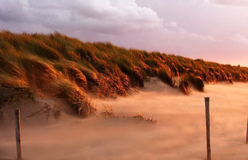 Windy Beach This was taken at a very windy beach in the Ne… Flickr