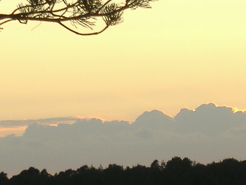 Cloudy Sunset Near Picket Post,New Forest National Park,Ha… Flickr