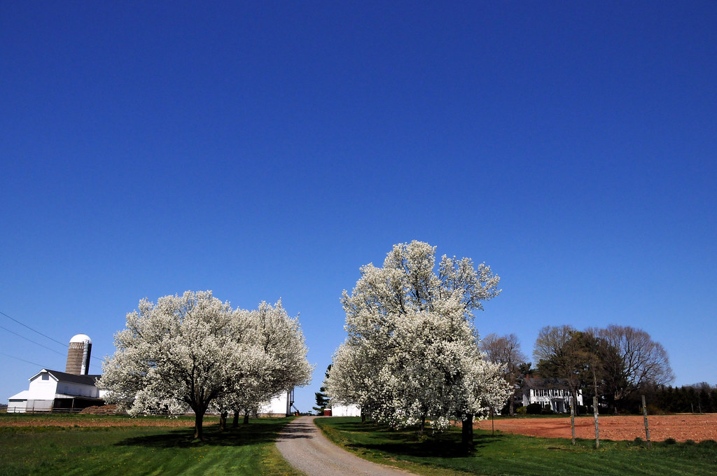 Kerr's Farm, Pennington, NJ Just a bit of correction with … Flickr