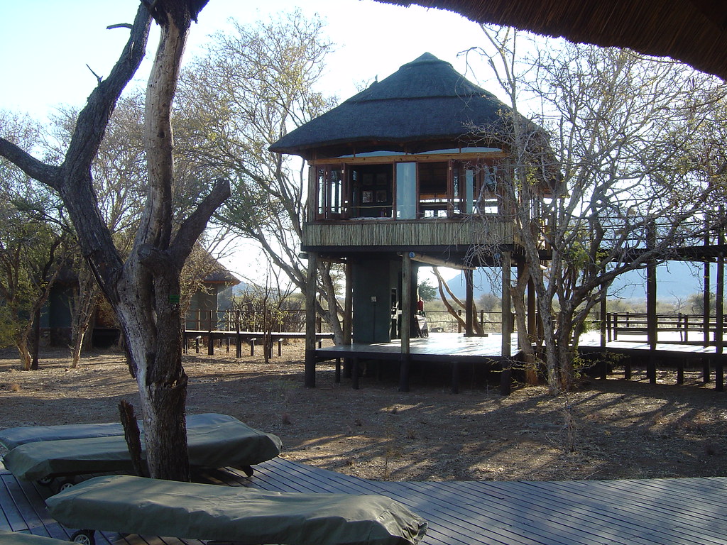 Tree Frog Lodge Cynthia's photos Flickr