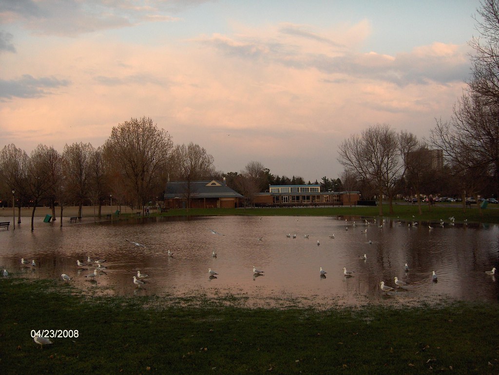 Britannia Park This is actually a park that has flooded th… Flickr