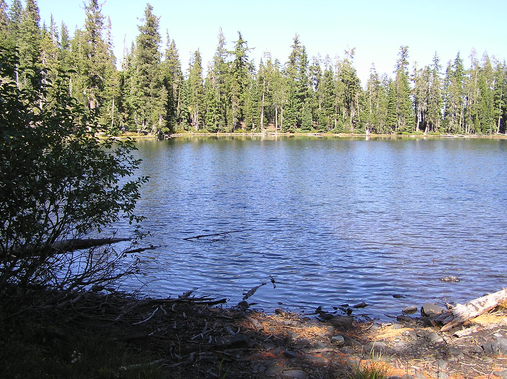 P1010030 Fox Creek Lake 76chevytruck Flickr