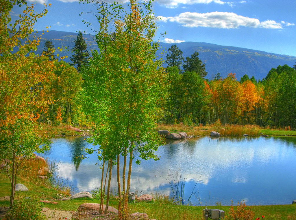 Early fall near Durango Colorado Saw this small pond and t… Flickr