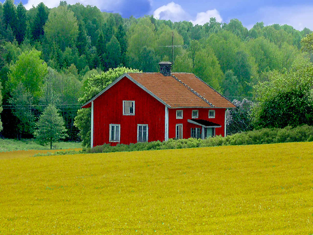 Abandoned wooden House in Swedish Landscape Sweden Olof Senestam
