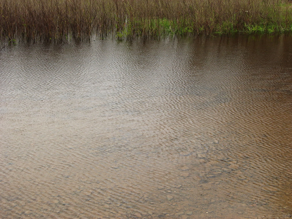 Brady's Lake IMG_4061 Brady's Lake Pocono Lake, PA Flickr