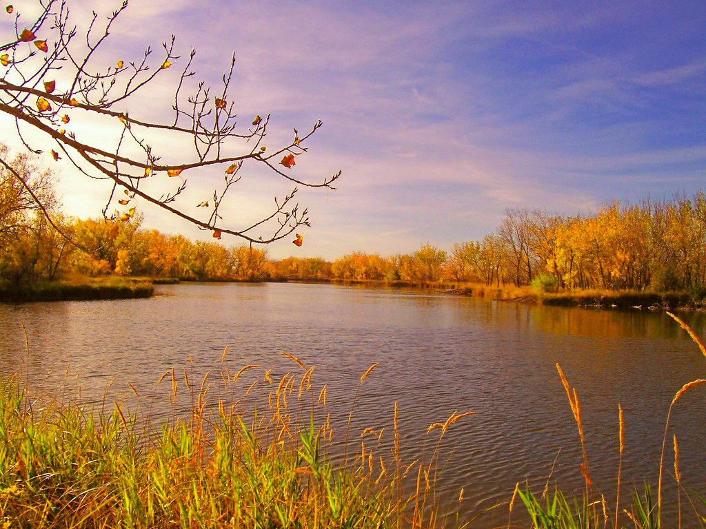 An Autumn Past At Morrill Ponds last year. Nature_Deb Flickr