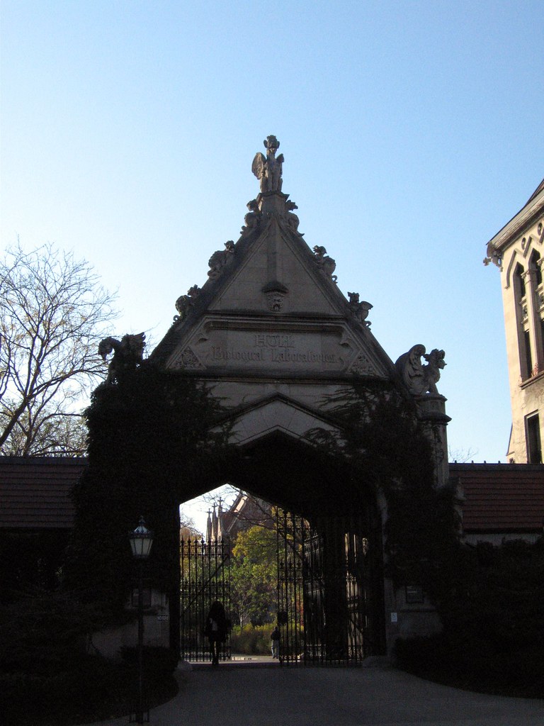 UChicago Walking to and around campus. Hull Gate. jcalyst Flickr