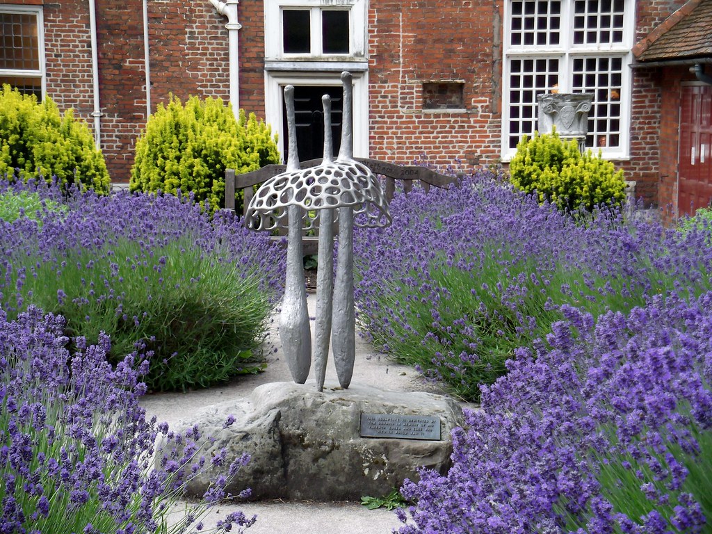 Lavender at Christchurch Hall, Ipswich Eirlys Howard Flickr