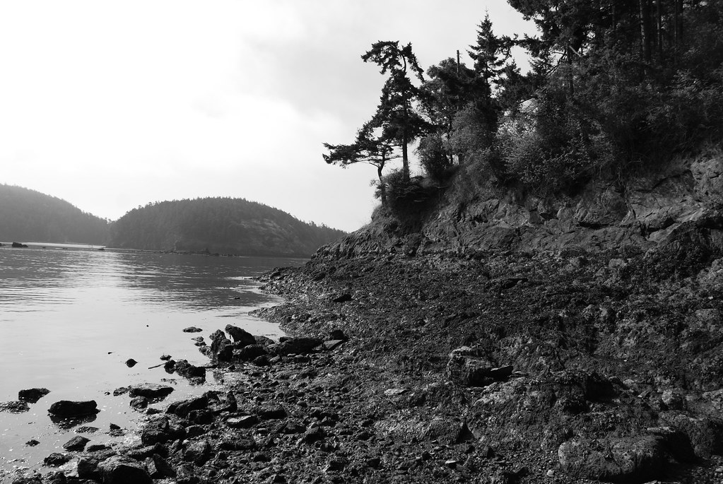 Bowman's Bay, Washington "Bowman's Bay" ; "bowmans bay" ; … Flickr