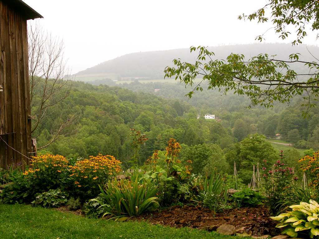 PATTY'S FARM Anca Stoicea Flickr