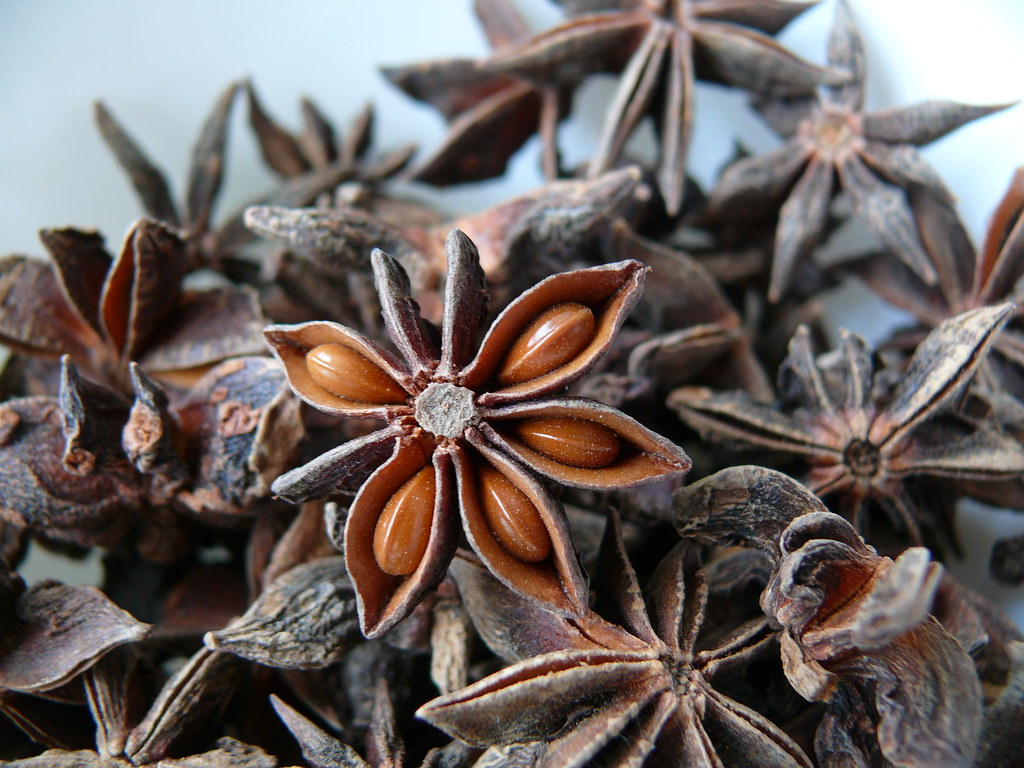 Star anise The irony of this series of photos is that I ca… Flickr