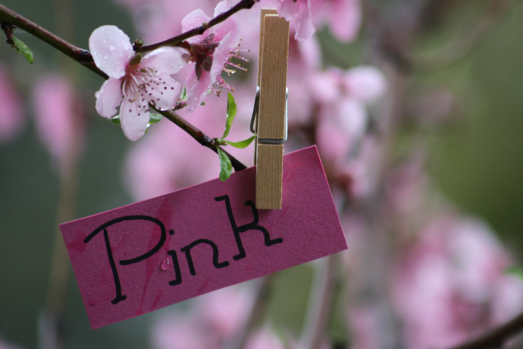 On Black The word 'Pink' by The.StoryKeeper [Large]