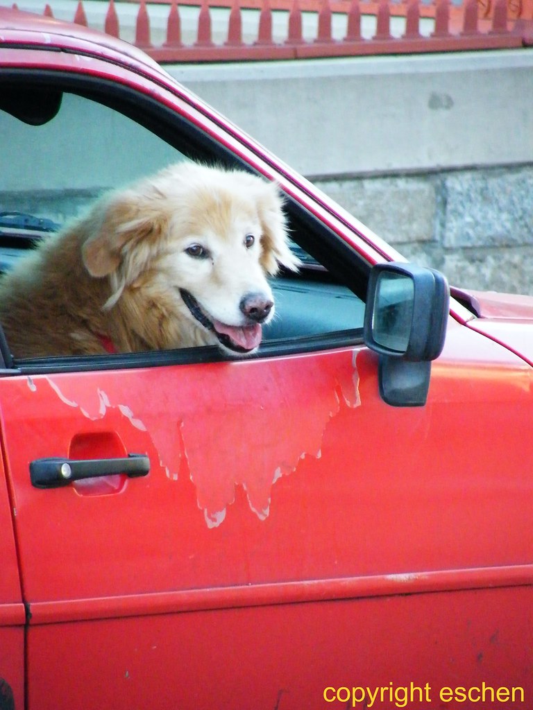 Car Doors Can ALWAYS Be Repainted I was unaware of the doo… Flickr