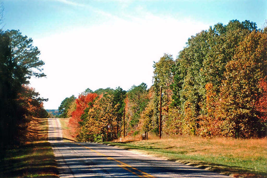 Road passing through countryside in fall, East Texas Flickr