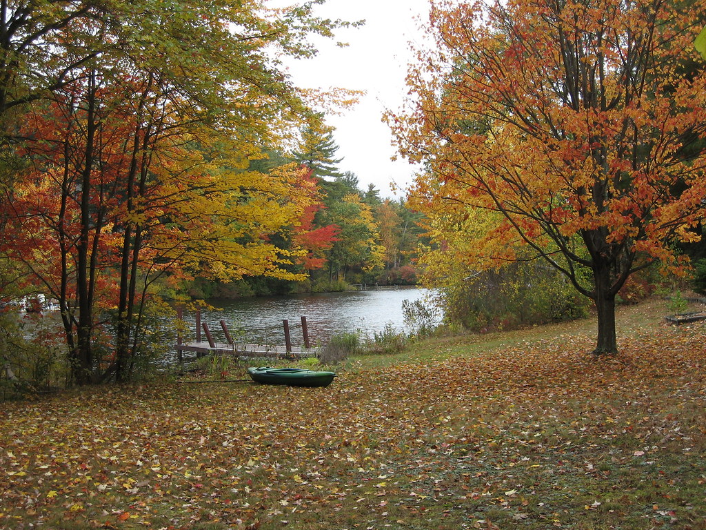 August 2008 114 Backyard, Wyman Pond, Westminster, MA