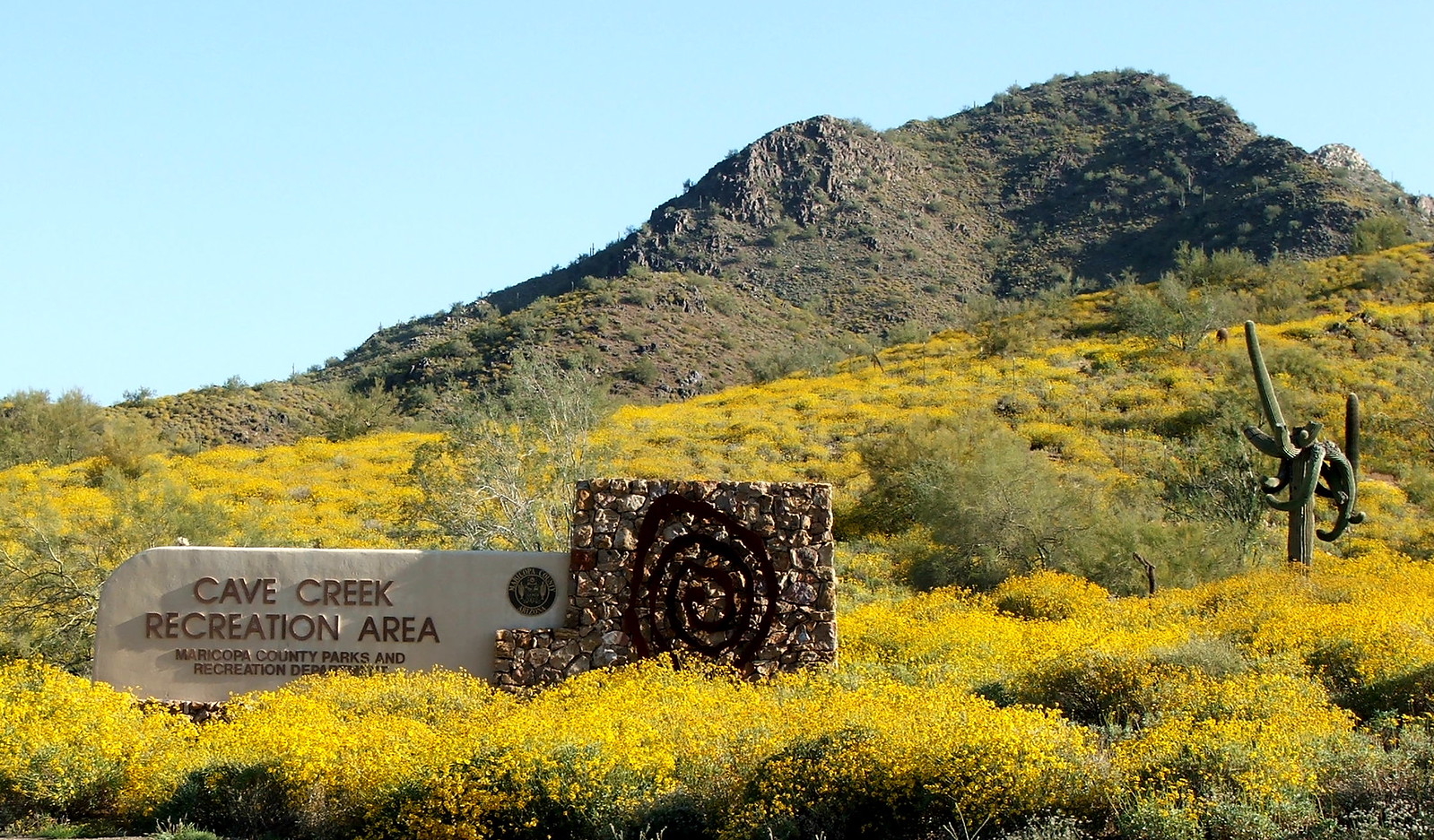 Cave Creek Park Wildflowers 2008 Flickr