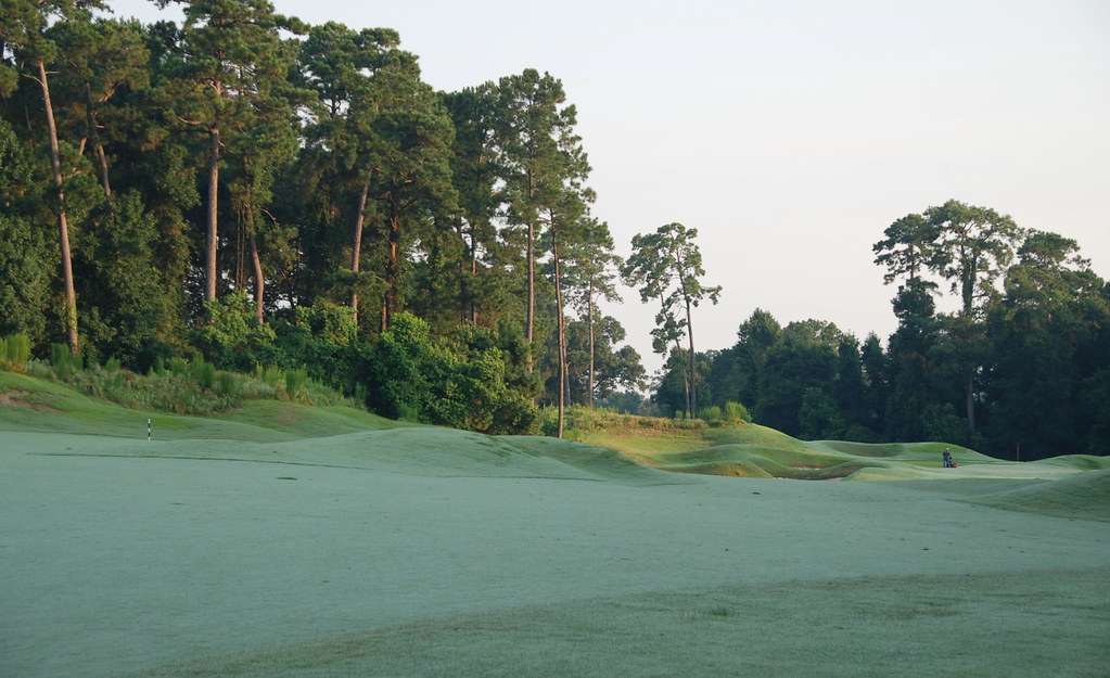 Kingwood Greens, TX on forest course in kingwood, tx hannu