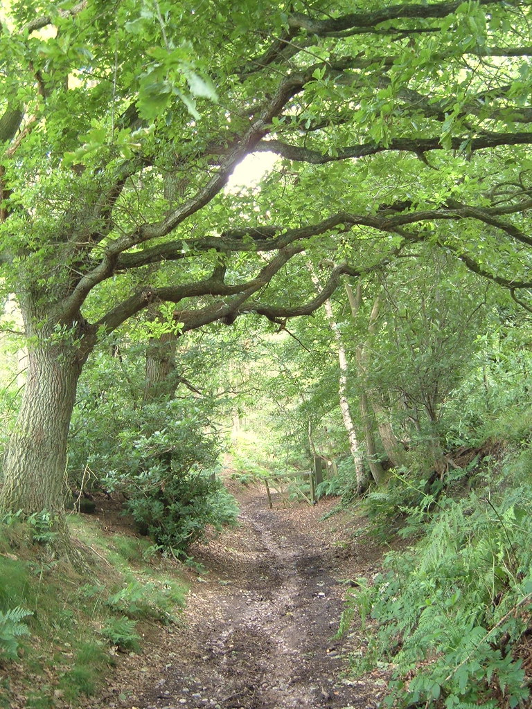 Swynnerton Old Park Roy Bayfield Flickr