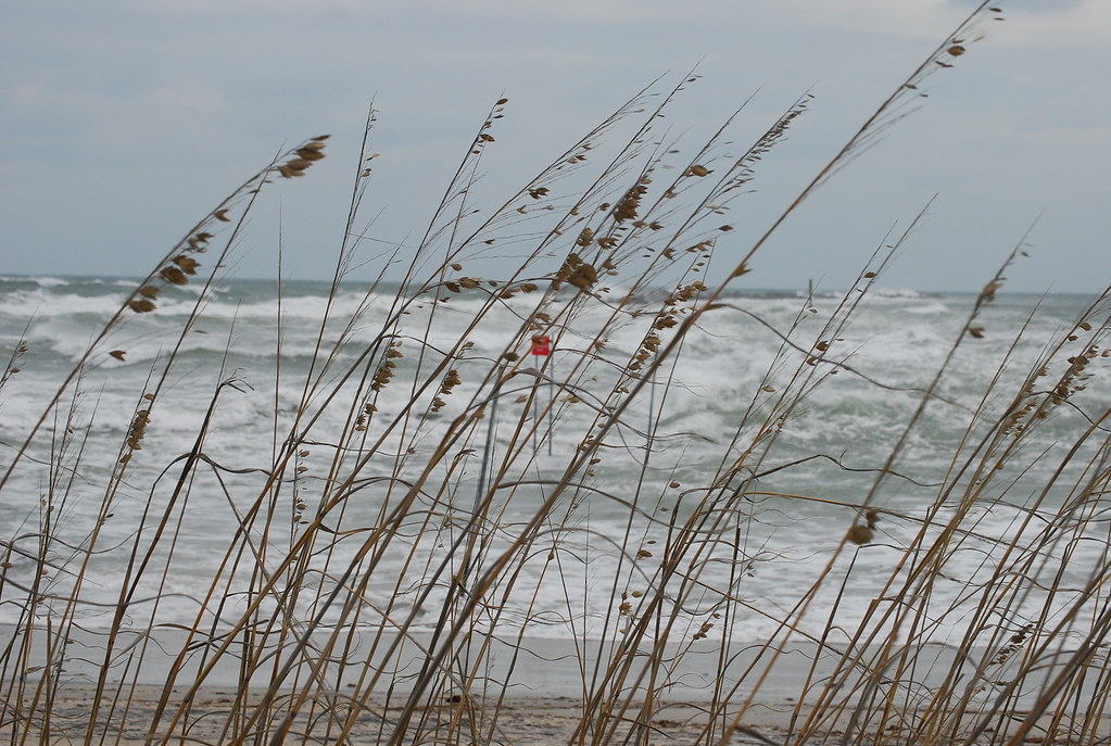 Sea Oats South island Wrightsville Beach (NC) high tid… Flickr