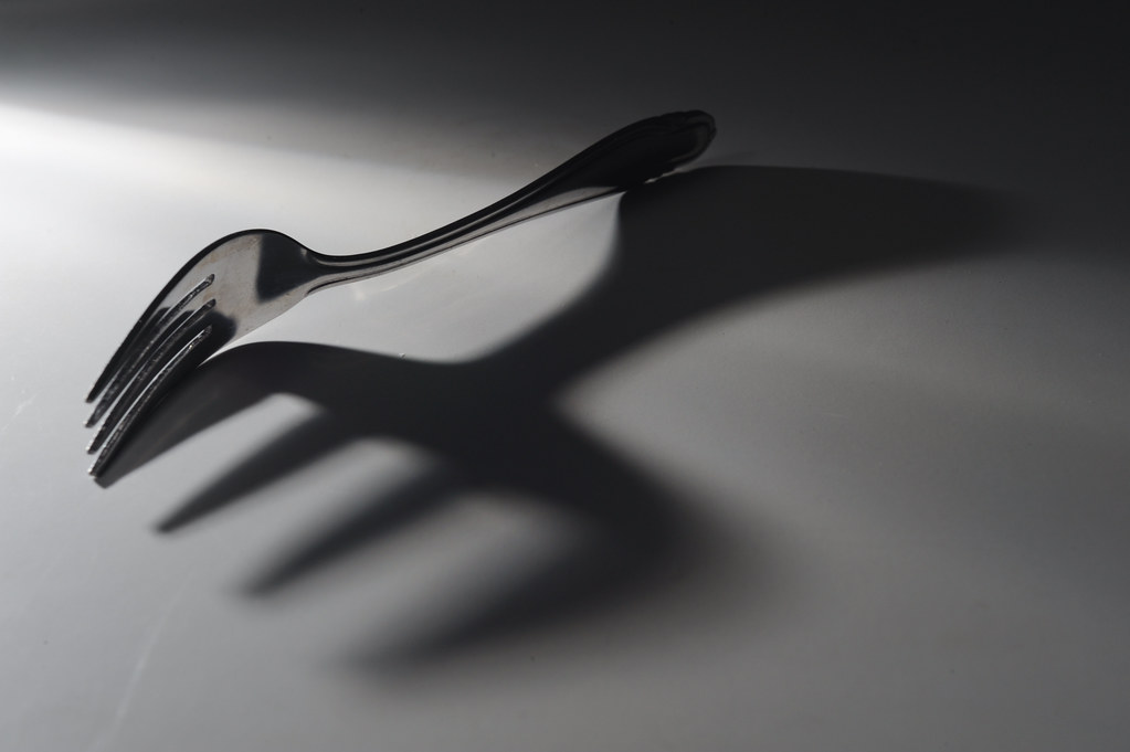 Fork And Shadow a photo on Flickriver