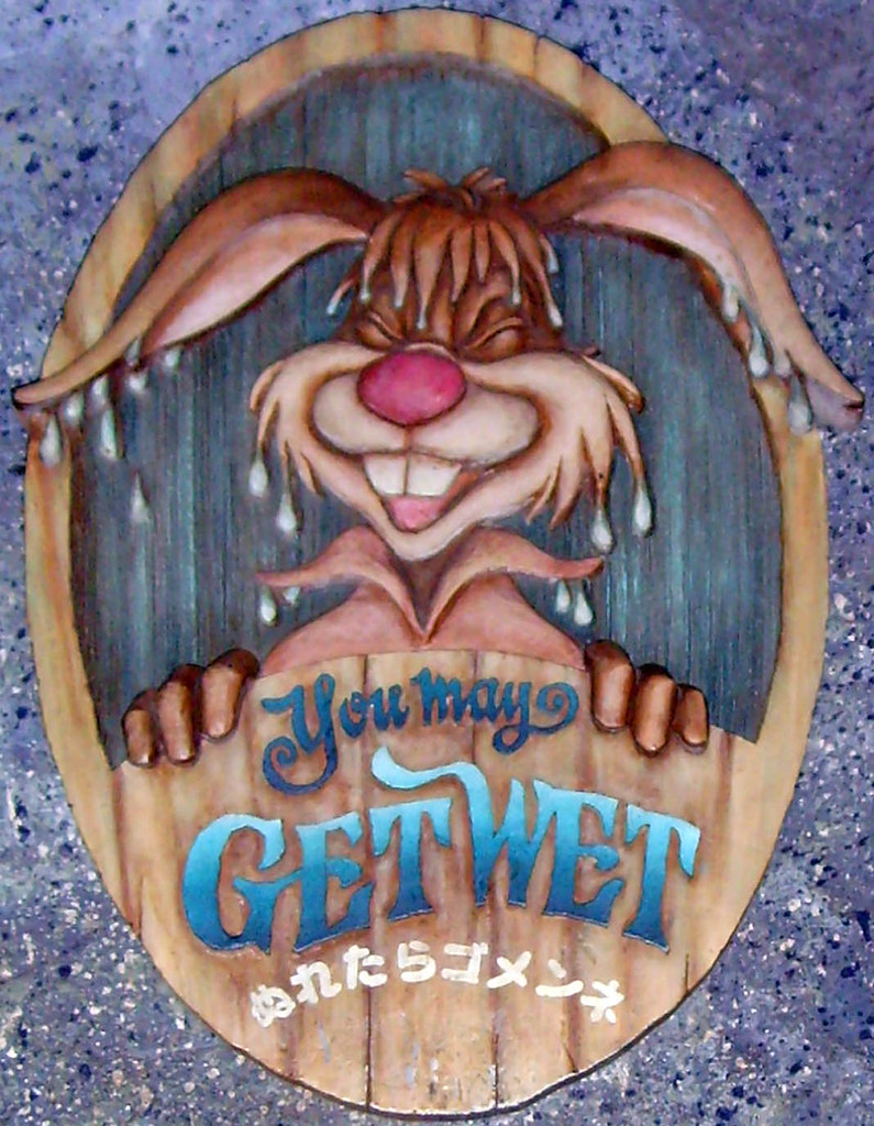 You May Get Wet From Splash Mountain at Tokyo Disneyland. Philip