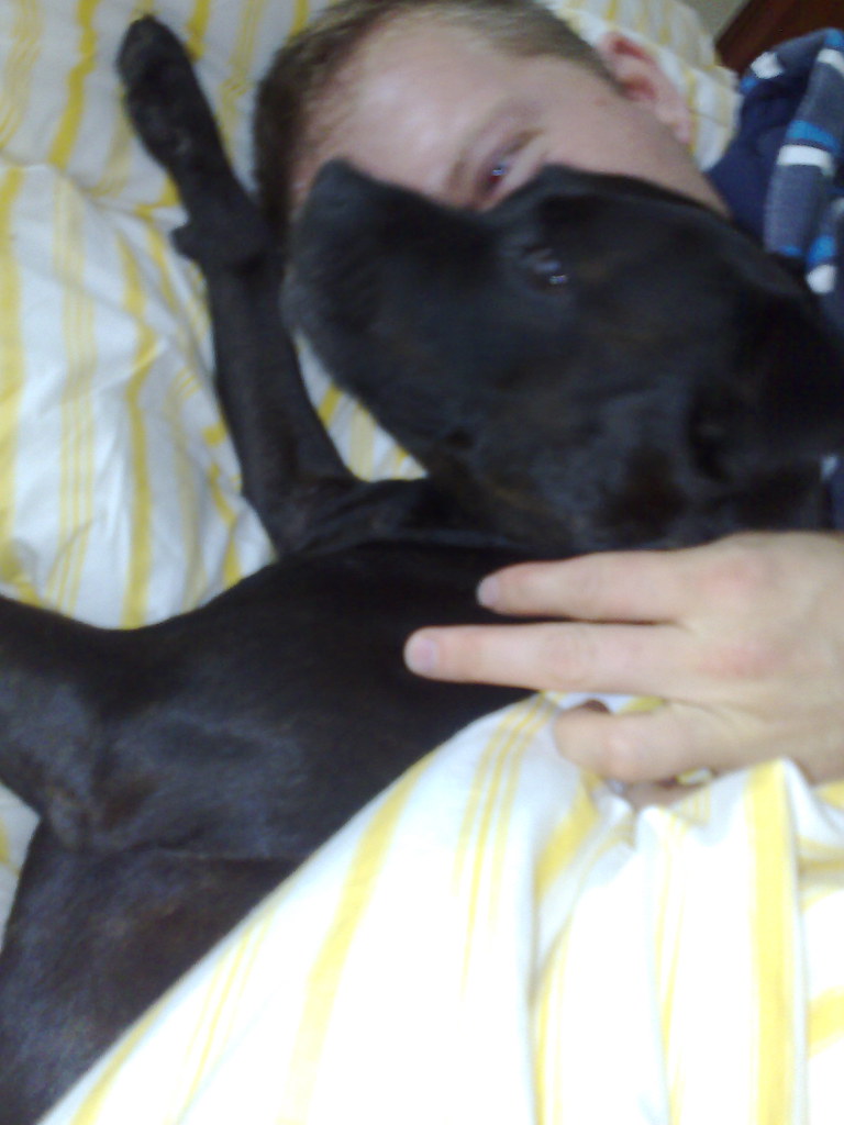 Messing around in bed with Matilda Staffie dog taking up a… Flickr