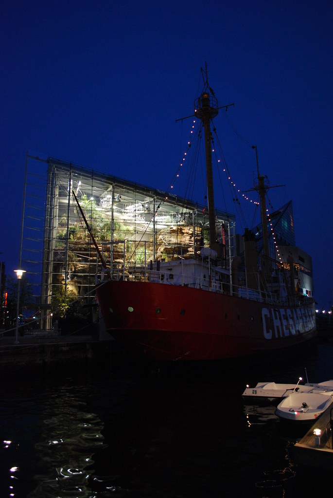 Night lights The Baltimore National Aquarium at night, wit… Flickr