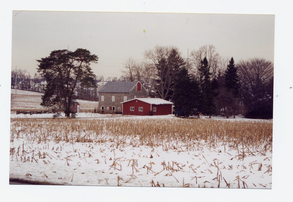 Lehigh Valley Farm_Rowan stop and draw the roses Flickr