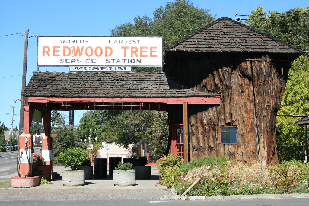 Ukiah, Mendocino, CA "World's Largest Redwood Tree Service… Flickr