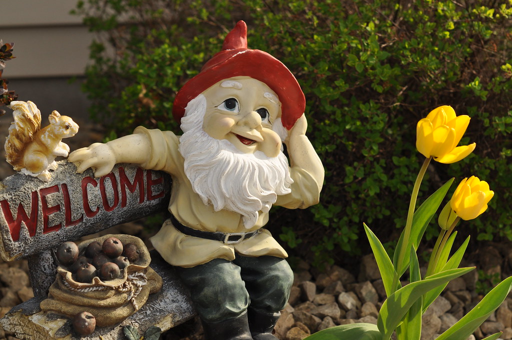 Little Garden Gnome with Tulips Kristi Sauer Flickr