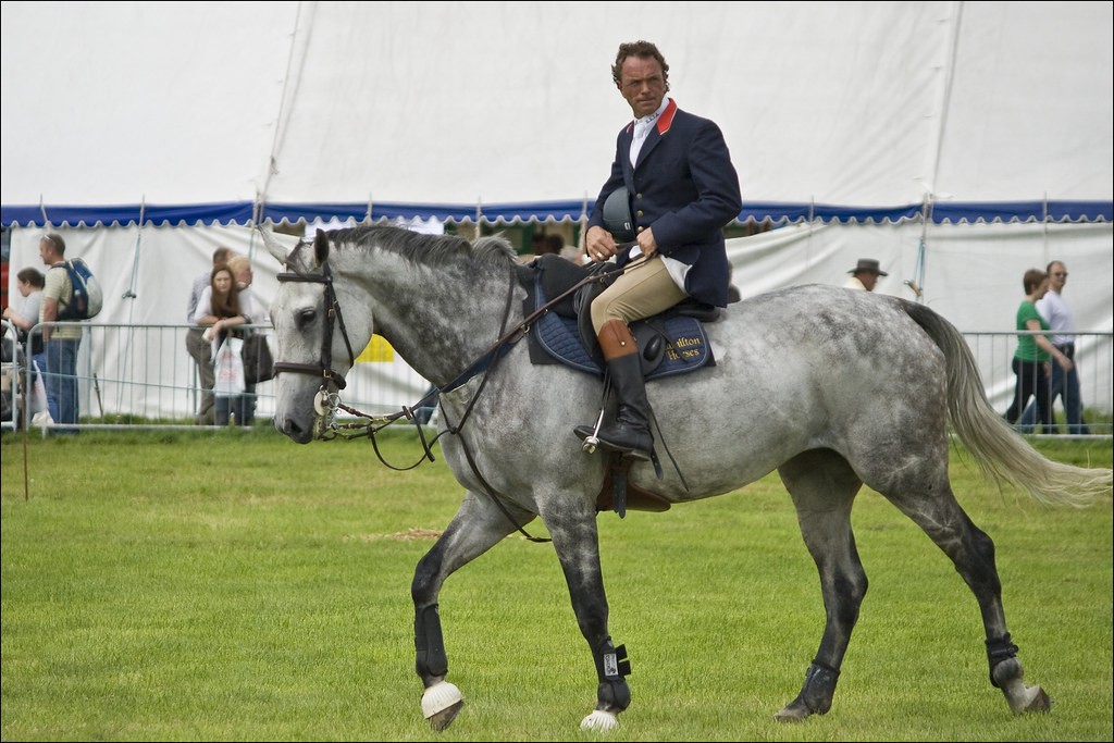 Garstang Horse Show dfrear Flickr