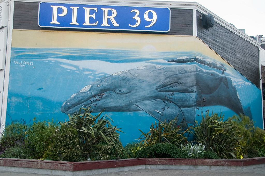 Wyland mural at Pier 39 a photo on Flickriver