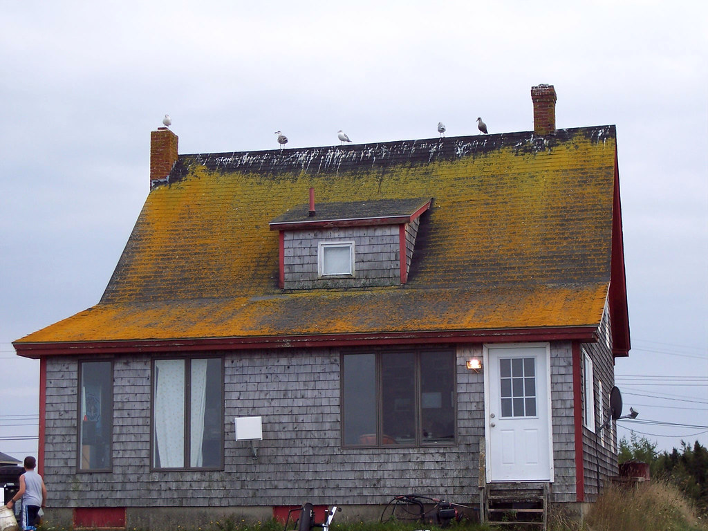 Beal's Island, Maine FH050021 A well maintained and modern… Flickr