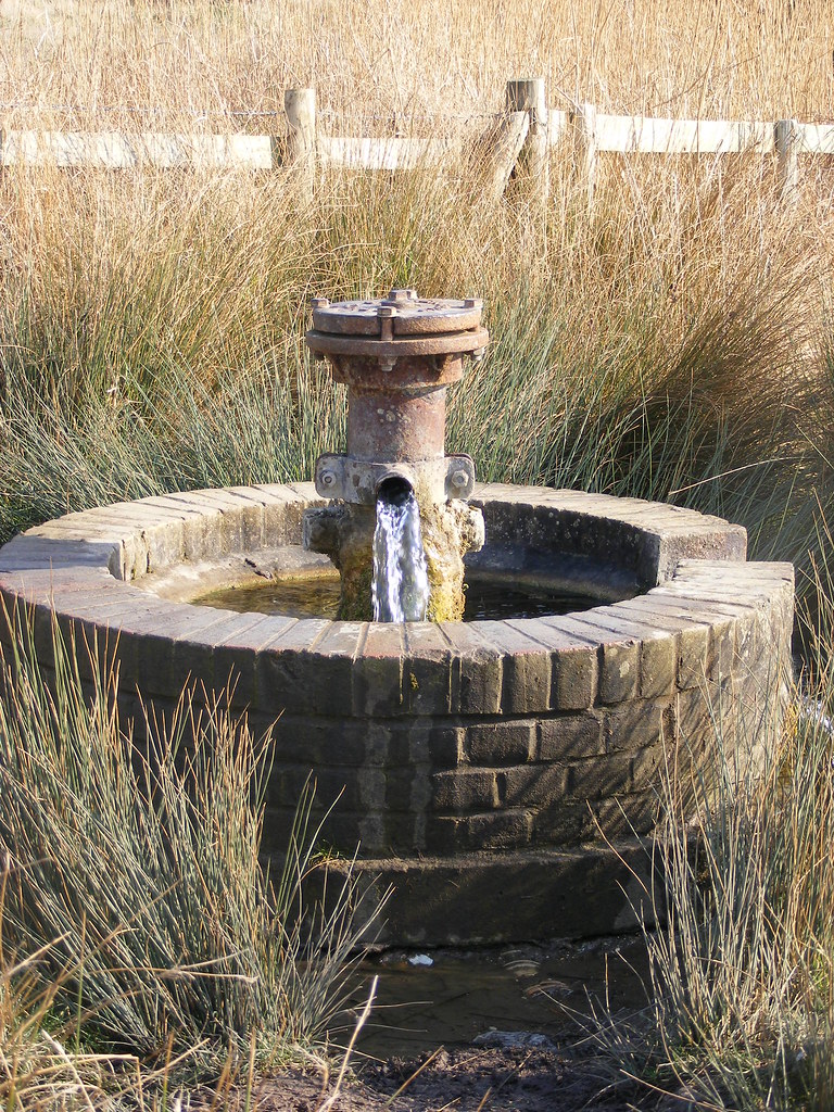 Fresh water Spring Swale Estuary Kent. RSPB Reserve Feb 20… Melanie Chadd Photography Flickr