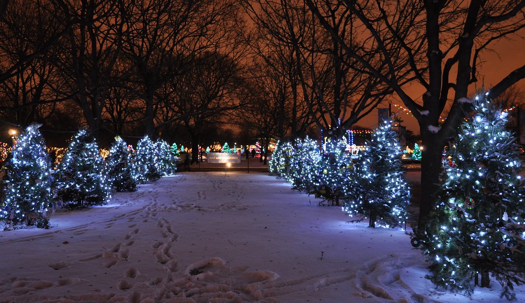 Holiday Trees at Brookfield Zoo Brookfield Zoo outside of … Flickr