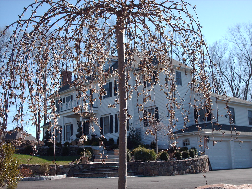 My Listings in Newtown, CT My Listing 3 Autumn Ridge Road… Flickr