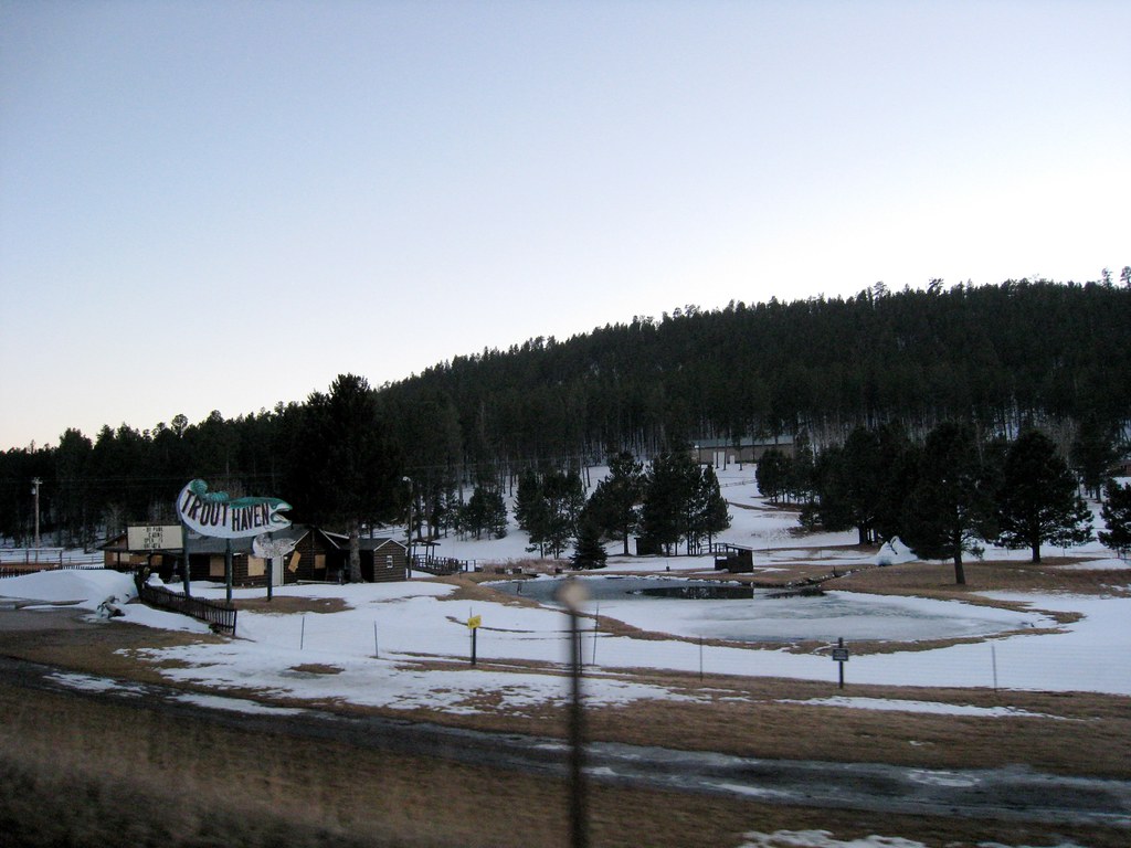 Black Hills Forest, South Dakota Kyle Taylor Flickr