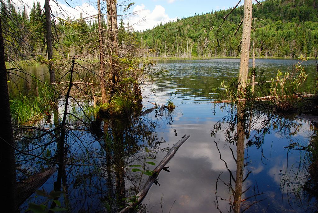 Lac Lézard, SaintDonat Martin Tremblay Flickr
