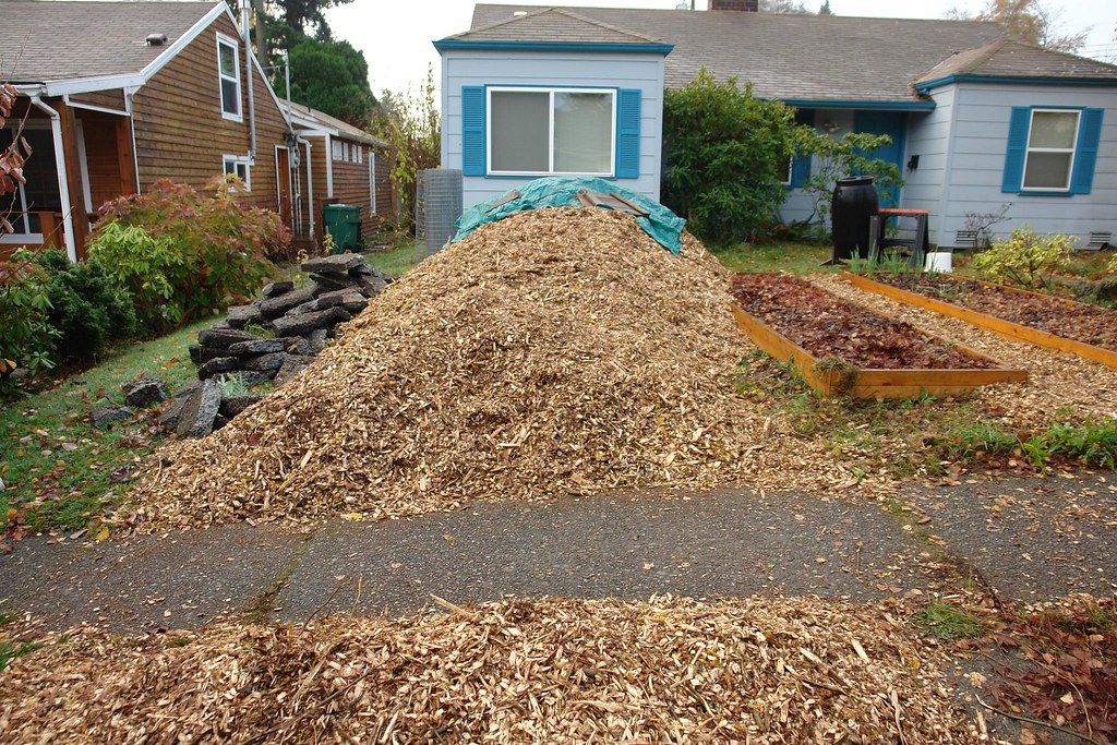 Huge pile of wood chips An arborist delivered some wood ch… Flickr