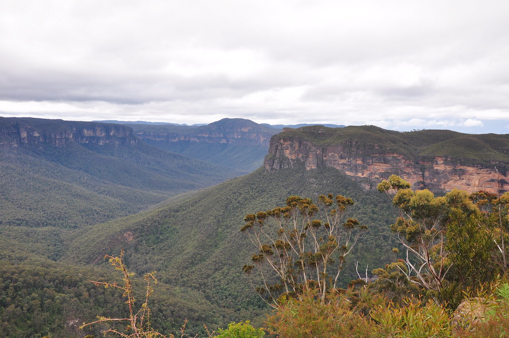 Box valley, Blue Mountain (Valerie's shot) jerrykho Flickr
