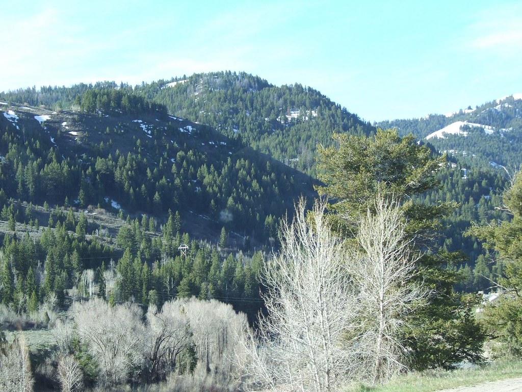 The Bridger National Park, Wyoming We drove through the Br… Flickr