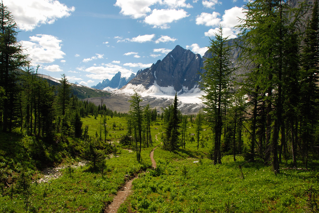 Rockwall trail, Kootenay a photo on Flickriver